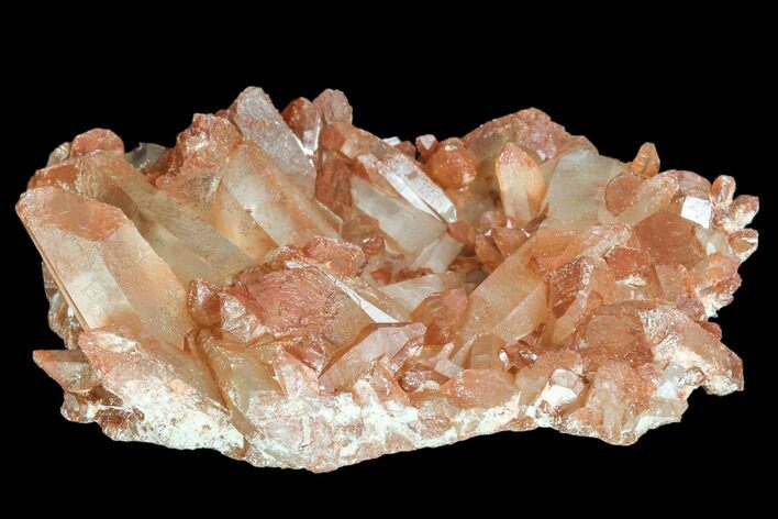 Natural, Red Quartz Crystal Cluster - Morocco #101492